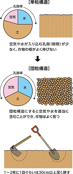 家庭菜園