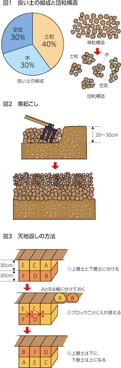 家庭菜園