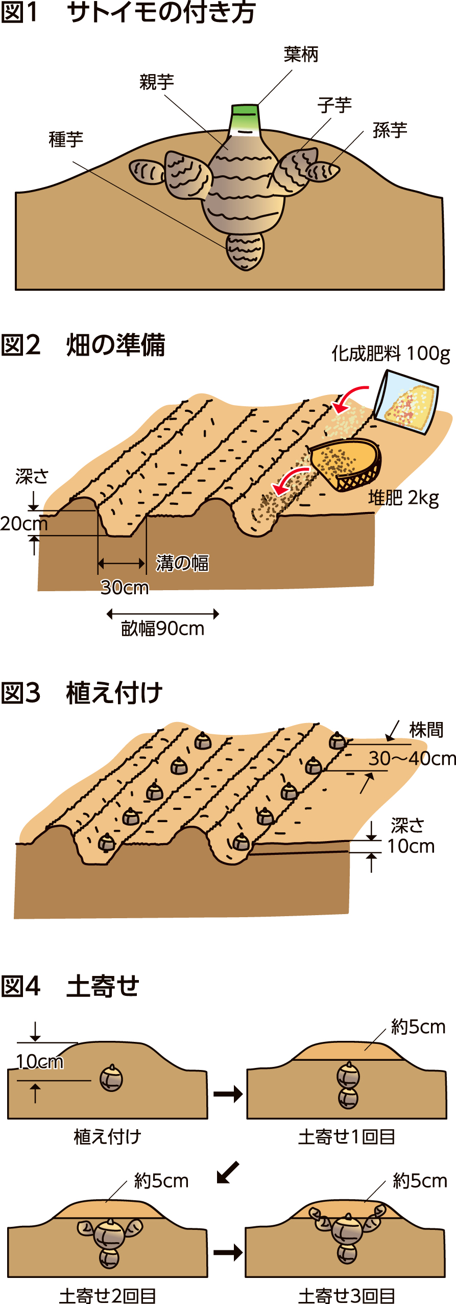 家庭菜園
