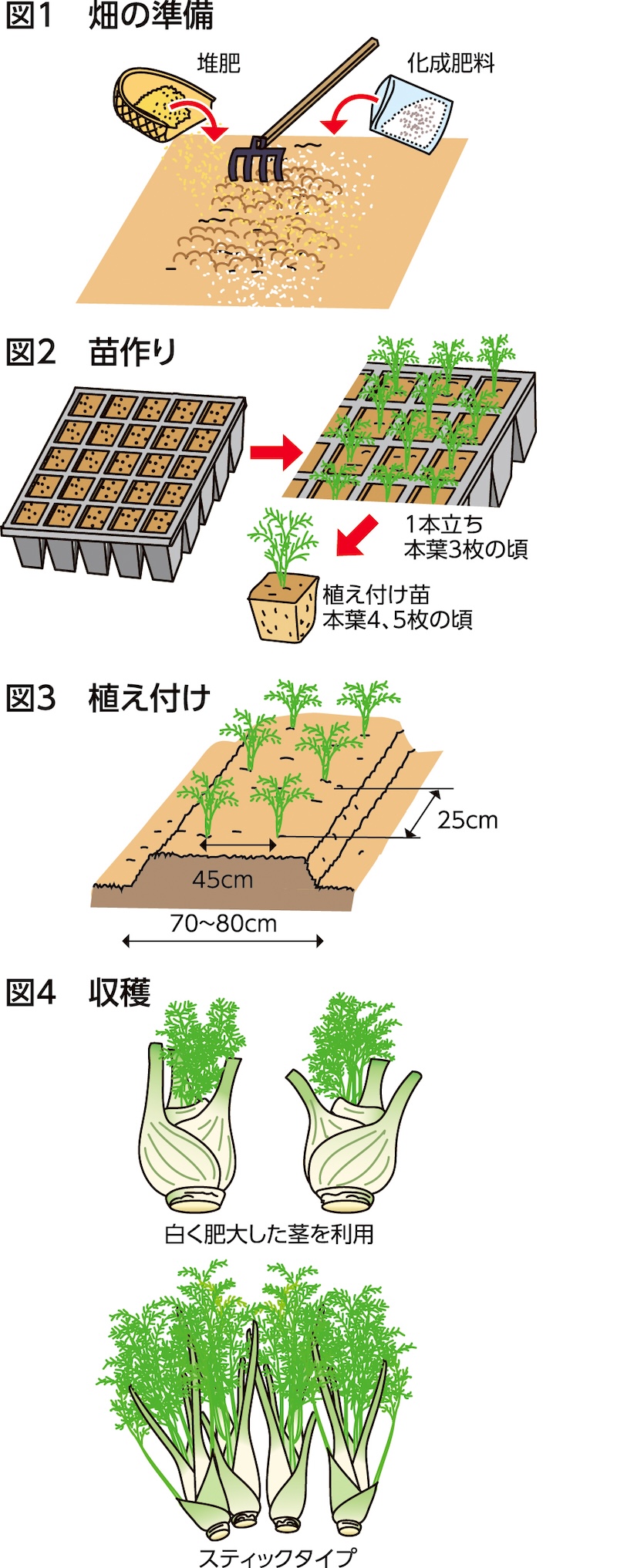 家庭菜園
