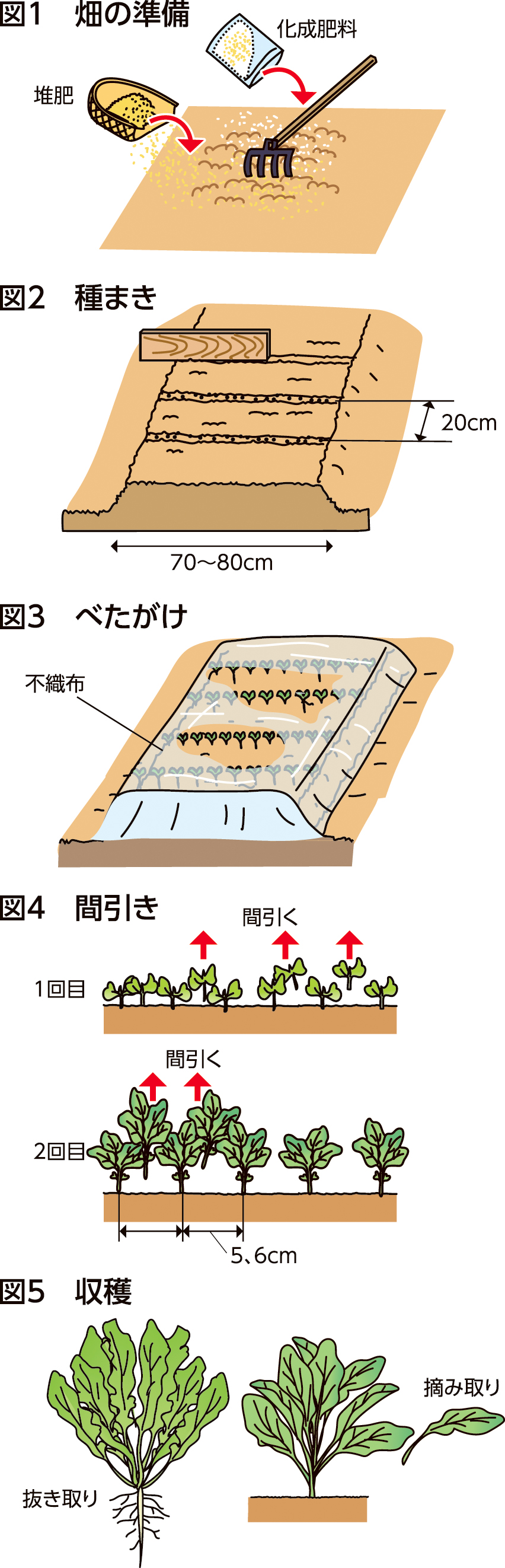 家庭菜園