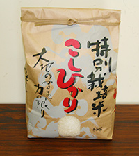 特別栽培米コシヒカリ　5kg